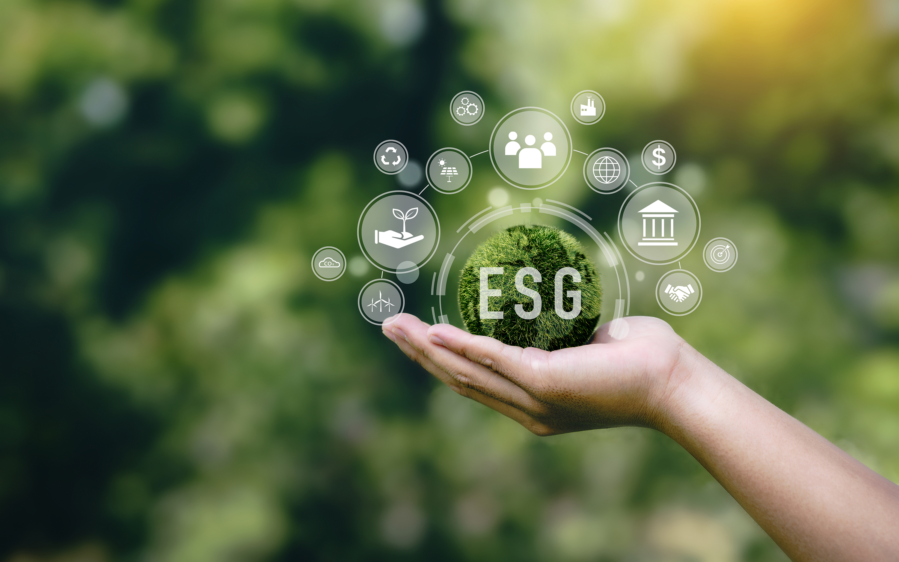 ESG: Finanzbranche baut um – und schafft Infokanäle